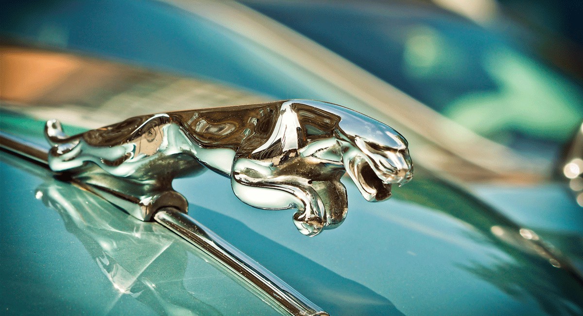 1640225057741122.jpg How to conduct plasma pretreatment (cleaning and activation) for car exterior trim