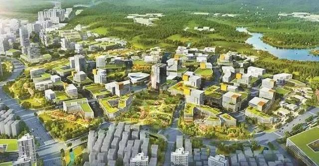 1645599450203204.jpeg 4.jpeg