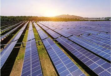 1648007513153842.jpeg 1648007513153842.jpeg