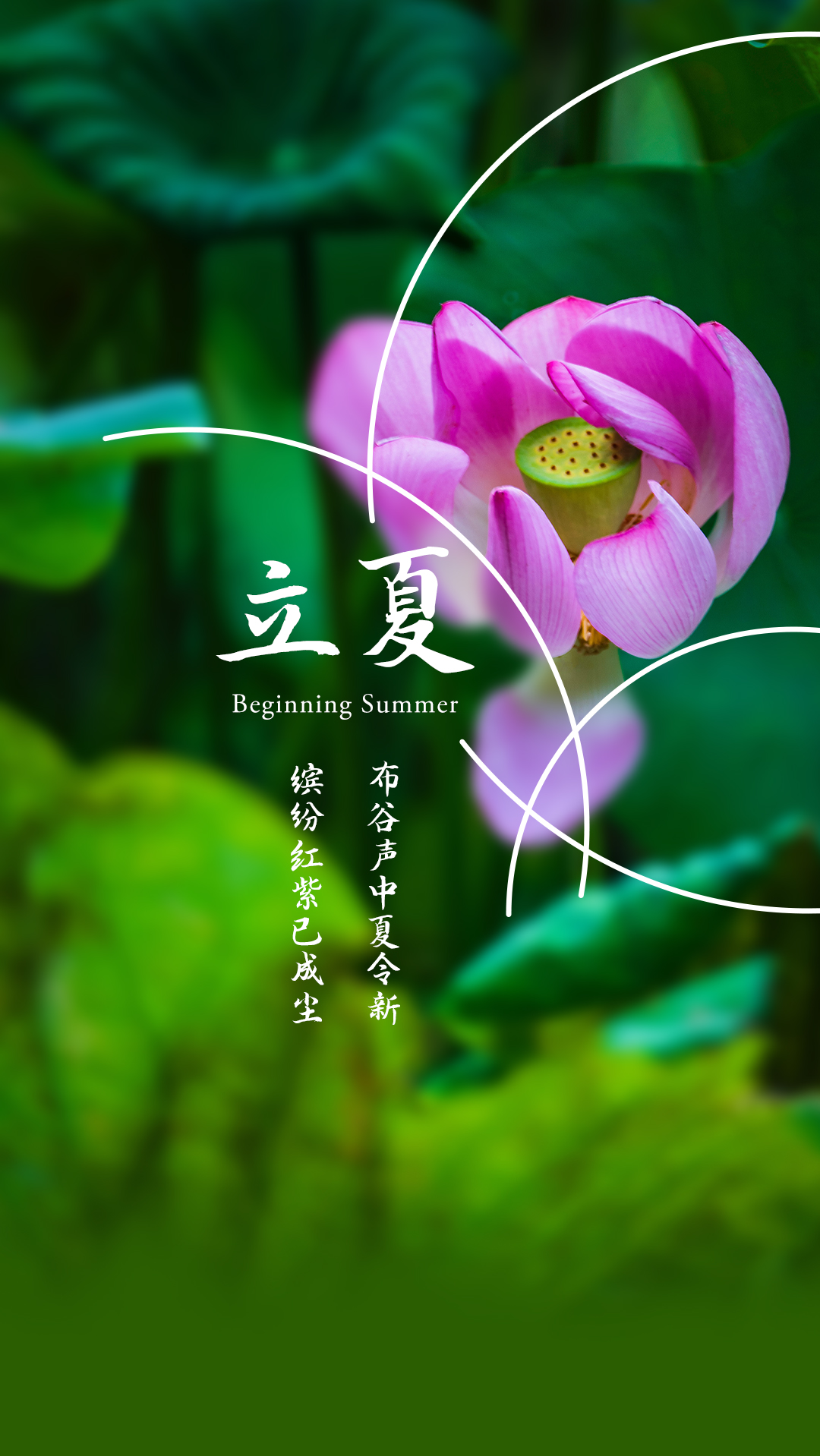 立夏 | 沖破往日的陰霾,懷著對美好生活的向往,努力奔跑 立夏 | 沖破往日的陰霾,懷著對美好生活的向往,努力奔跑