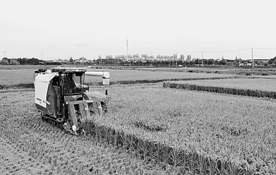 1666834010207951.jpg 2.jpg