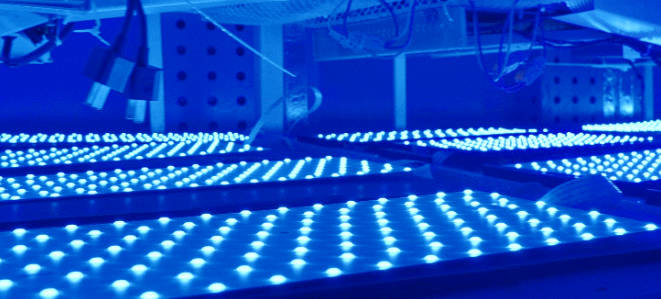 1672104272302927.jpg 5.jpg