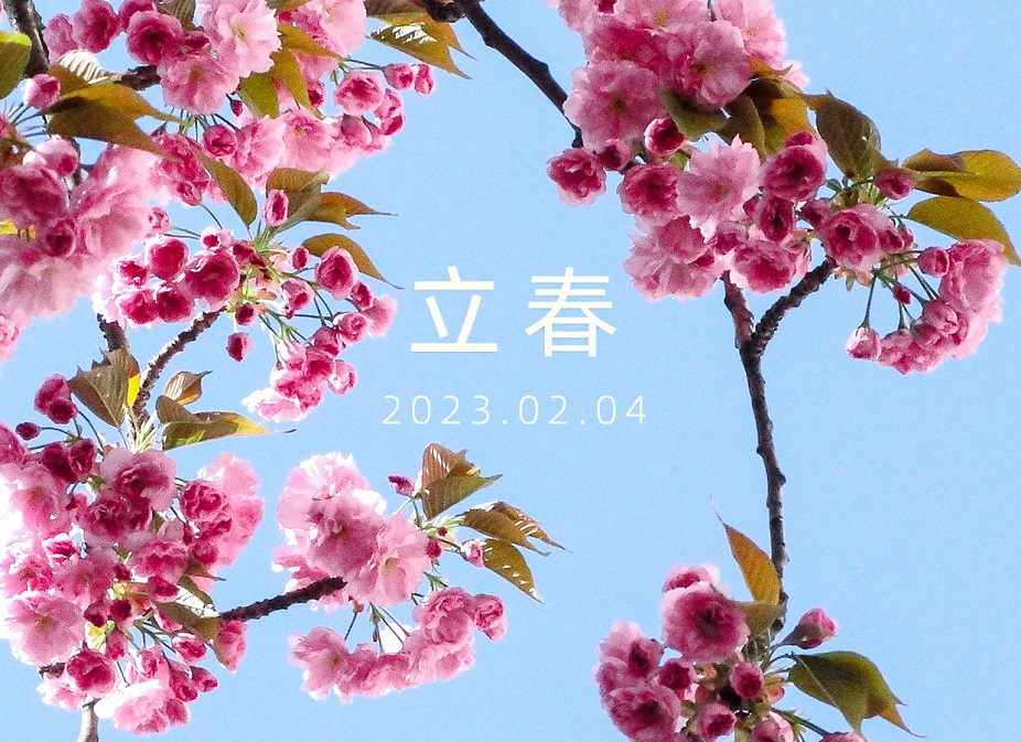 今日，立春 | 迎春而立，逐夢揚帆