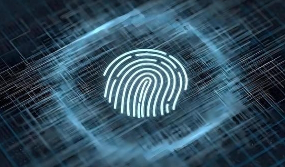 How versatile is AF anti fingerprint oil?